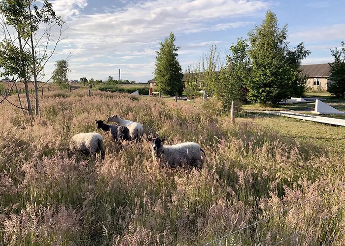 Gsh Ξενοδοχείο